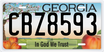 GA license plate CBZ8593