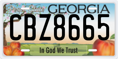 GA license plate CBZ8665