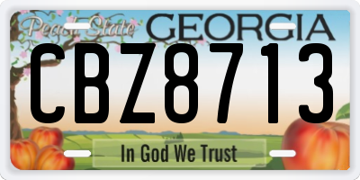GA license plate CBZ8713