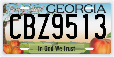GA license plate CBZ9513