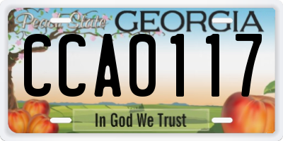 GA license plate CCA0117