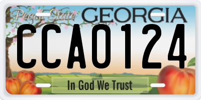 GA license plate CCA0124