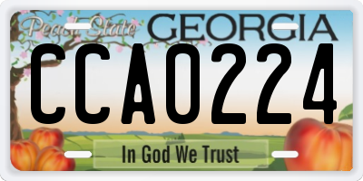 GA license plate CCA0224