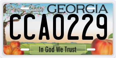 GA license plate CCA0229