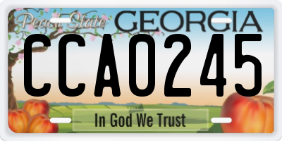 GA license plate CCA0245