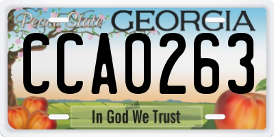 GA license plate CCA0263