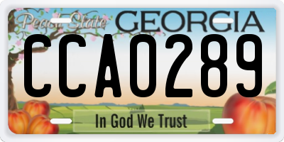 GA license plate CCA0289