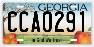 GA license plate CCA0291