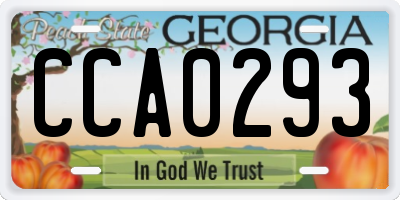 GA license plate CCA0293