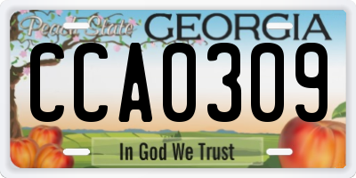 GA license plate CCA0309