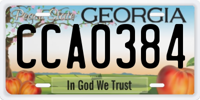 GA license plate CCA0384