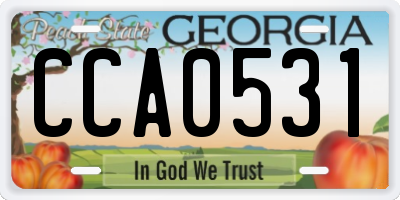GA license plate CCA0531