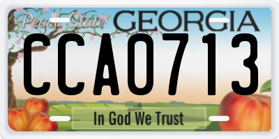 GA license plate CCA0713