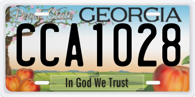 GA license plate CCA1028
