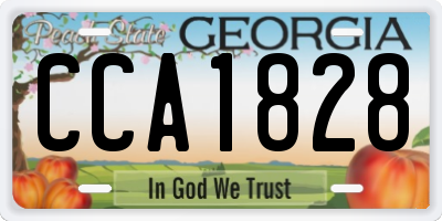 GA license plate CCA1828