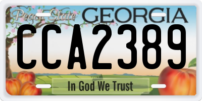 GA license plate CCA2389