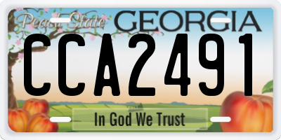 GA license plate CCA2491