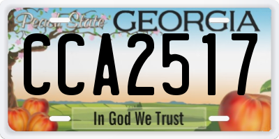 GA license plate CCA2517