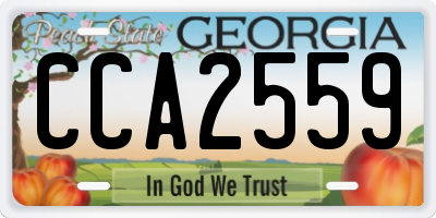 GA license plate CCA2559