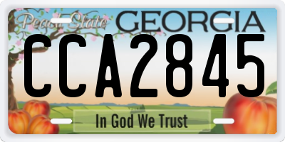 GA license plate CCA2845