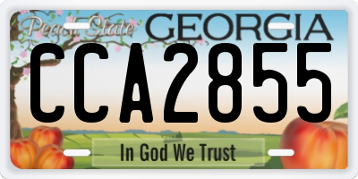 GA license plate CCA2855
