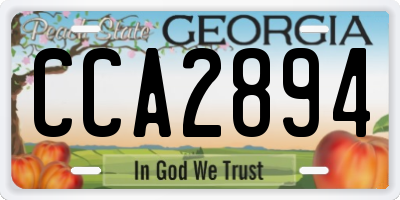 GA license plate CCA2894