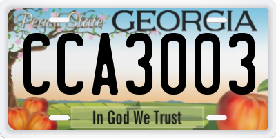 GA license plate CCA3003