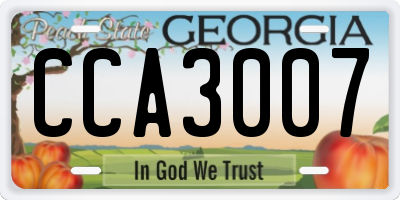 GA license plate CCA3007