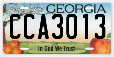 GA license plate CCA3013