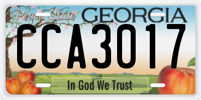 GA license plate CCA3017