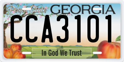 GA license plate CCA3101
