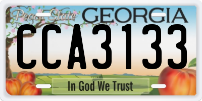 GA license plate CCA3133