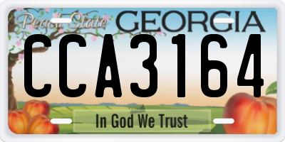 GA license plate CCA3164