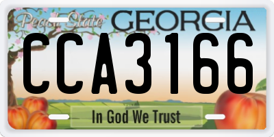 GA license plate CCA3166