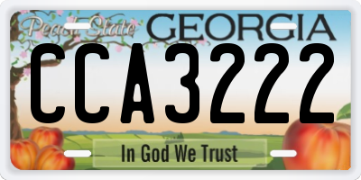 GA license plate CCA3222