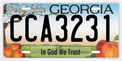GA license plate CCA3231