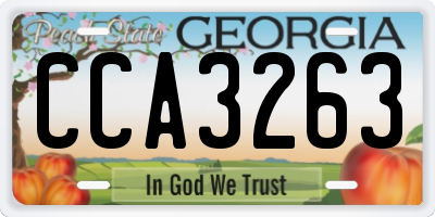 GA license plate CCA3263