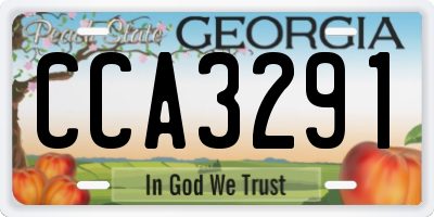 GA license plate CCA3291