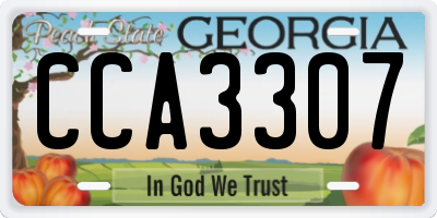 GA license plate CCA3307