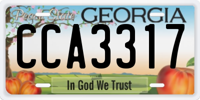 GA license plate CCA3317