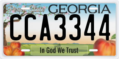 GA license plate CCA3344