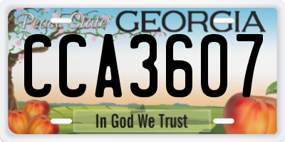 GA license plate CCA3607