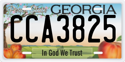 GA license plate CCA3825