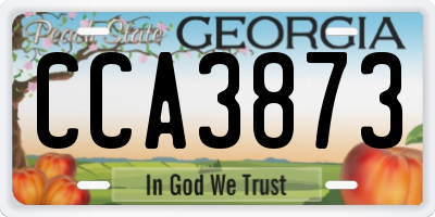 GA license plate CCA3873