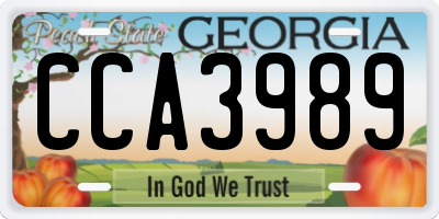 GA license plate CCA3989