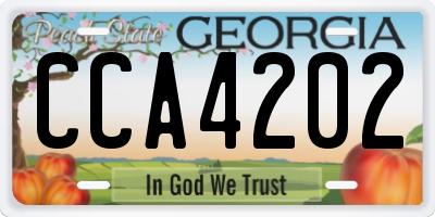 GA license plate CCA4202