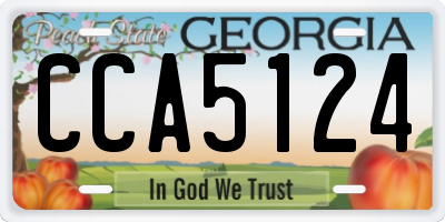 GA license plate CCA5124