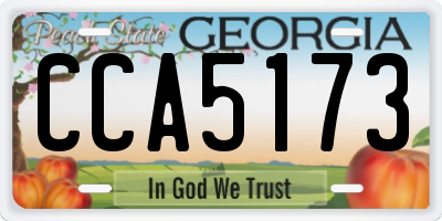 GA license plate CCA5173