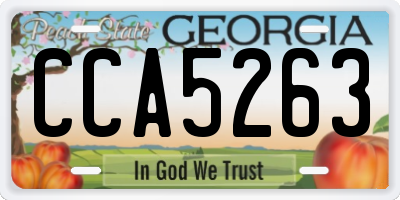 GA license plate CCA5263