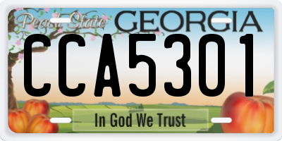 GA license plate CCA5301